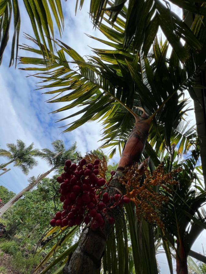 Hawaii Getaway Villa Holualoa Bagian luar foto